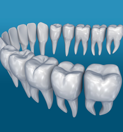 BeautifulSmiles-Bone Grafts